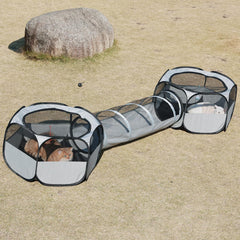 Flashing Fire outdoor cat enclosure fully set up for spacious playtime