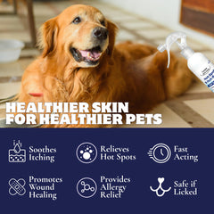 FlexTran Canine Itch Care spray being dispensed for targeted skin care.