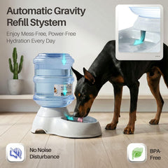 Three-gallon Flexzion pet water dispenser in a home kitchen