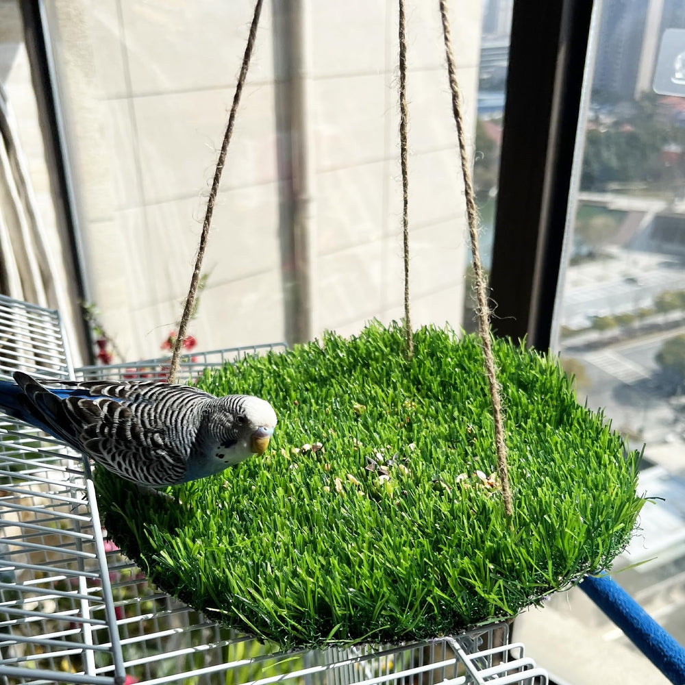 FlidRunest natural bird grass foraging mat keeps parakeets engaged and entertained