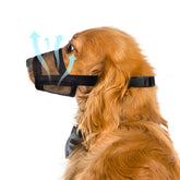 Flintstone large dog muzzle with breathable mesh for comfortable walks.