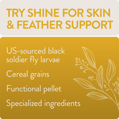Illustration of black soldier fly larvae as Shine protein source for feathers.
