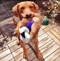 Fluff & Tuff Wally Mallard ultra-plush fabric offers soft, comforting touch during games