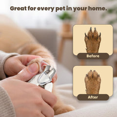 FluffyCare ultra-quiet motor keeps pets calm during nail sessions.