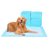 FluffyDream training pad 28x30 blue ideal for housebreaking and odor control