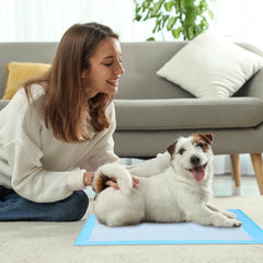 FluffyDream training pad 5-layer construction provides strong absorption and leak prevention.