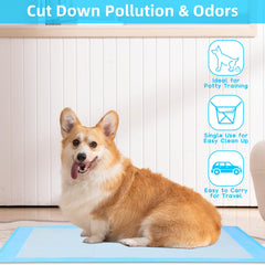 FluffyDream training pad with multi-layer design delivers quick absorption and leak protection.