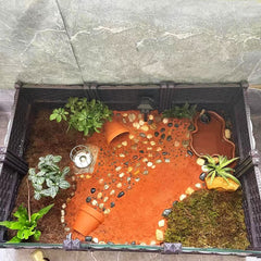 Flushbay multi-function dish serves as water or food tray.