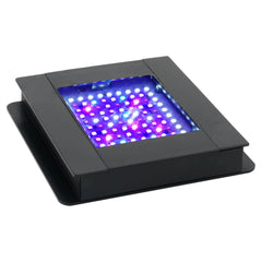 Fluval SEA Nano LED mounted over glass for flexible reef placement.