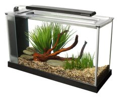 Fluval SPEC LED overhang lighting enhances color and visibility in the tank