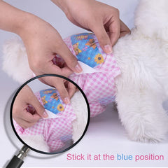 Flying Paws packaging options for easy daily use.