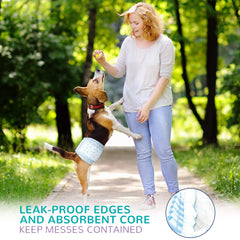 A small dog wearing a Flying Paws diaper for a comfortable, secure wrap during a walk.