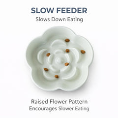 FOCPB smooth glazed ceramic finish is easy to clean after dry or wet food meals.