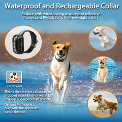 FOCUSER GPS dogs playing in yard illustrating safe containment