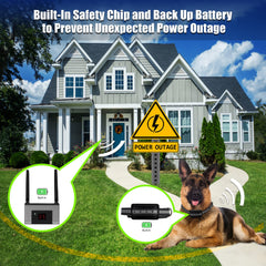 FOCUSER two-dog system enables safe containment for two pets