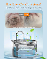 FOOPOMARY stainless steel body provides hygienic, pet-friendly drinking surface.