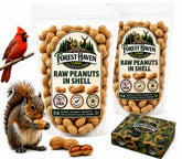 Forest Haven raw peanuts in shell closeupβnatural, unsalted wildlife snack.