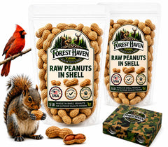 Forest Haven raw peanuts in shell closeup—natural, unsalted wildlife snack.
