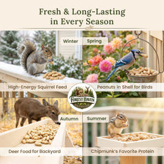 Forest Haven unsalted in-shell peanuts suited for versatile wildlife feeding.