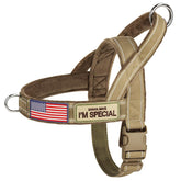 Forestpaw no pull harness with large handle for safe, controlled walks.