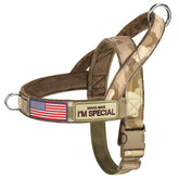 Forestpaw No Pull Harness front view with large handle for easy control.