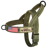 Forestpaw No Pull Harness with large handle for easy control on walks.