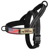 Forestpaw No Pull Harness with Large Handle for controlled walks and easy grip.
