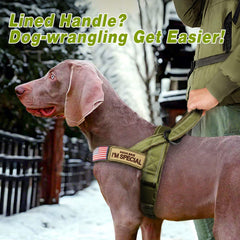 Forestpaw quick-release buckle for fast, simple on/off.