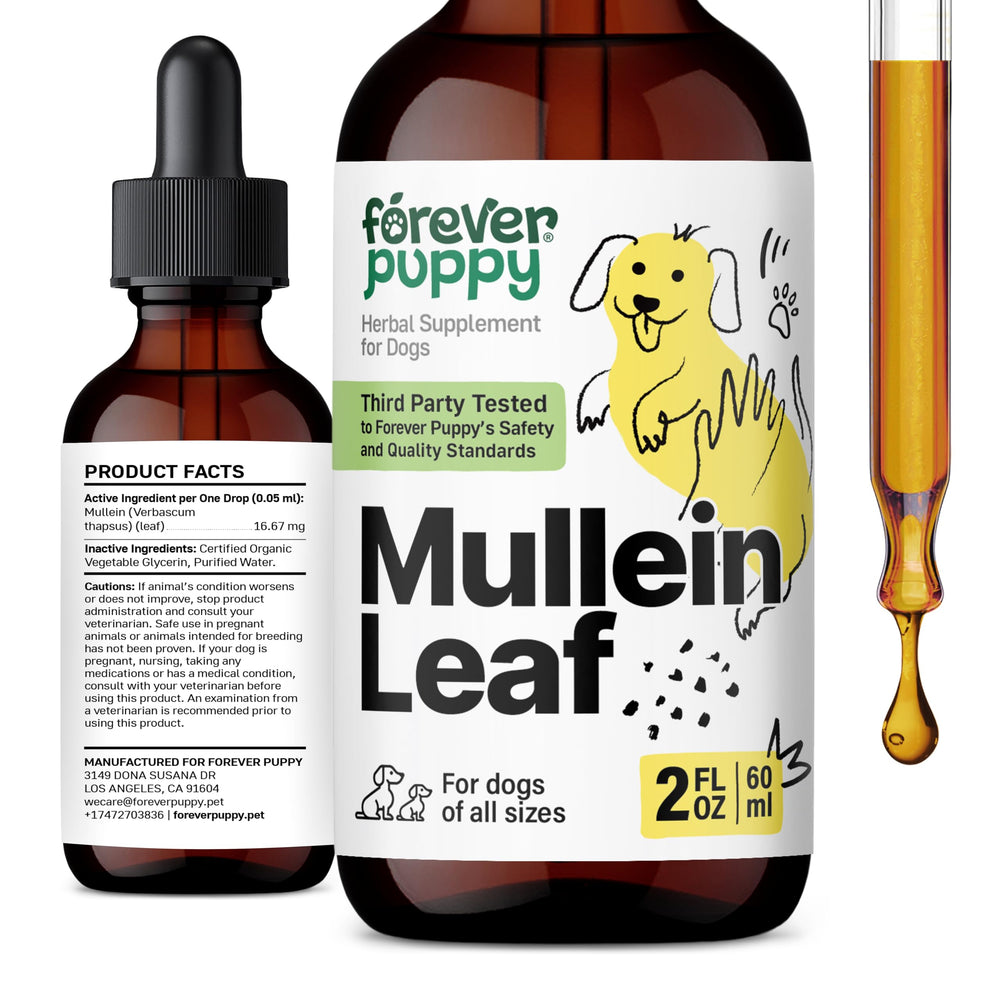 Forever Puppy Mullein tincture bottle pour supports easy breathing during daily activities