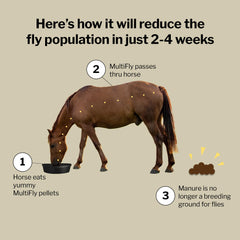 Formula 707 MultiFly pellets on a barn shelf for routine fly prevention.