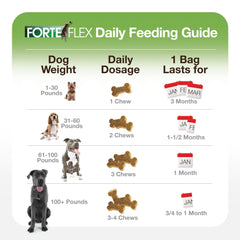 Forte Flex formula with collagen and enzymes enhances connective tissue resilience.