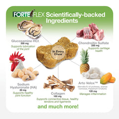 Forte Flex capsules with glucosamine, chondroitin, and HA cushion joints.