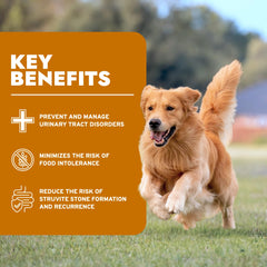 Forza10 non-GMO label indicating clean ingredients for dogs