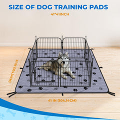 Fostanfly pad flat layout showing extensive coverage for indoor use