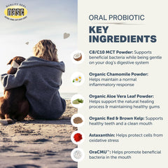 FOUR LEAF ROVER Dental Powder for Dogs being stirred into meals for odor-friendly days.