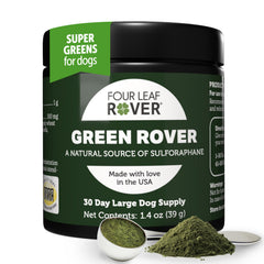 Four Leaf Rover Green Rover bottle ready for serving, supports natural immune defenses.