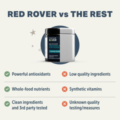 Close-up of Red Rover berries emphasizes antioxidants for canine wellness.