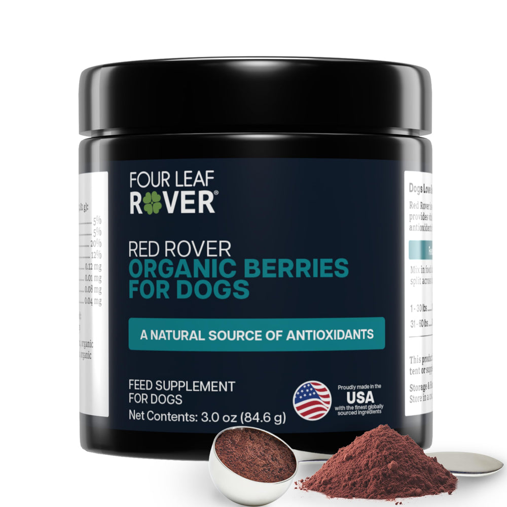 Four Leaf Rover Red Rover bottle front showing organic berry blend for urinary support.
