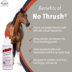 The Four Oaks No Thrush powder is dusted into hoof grooves to aid restoration.