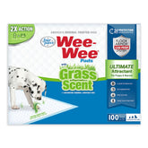 Four Paws Wee-Wee grass-scent pad top view for simple indoor potty training.