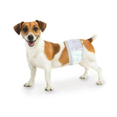 Four Paws Wee-Wee packaging for small dogs, ready-to-use potty training solution