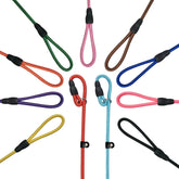 FOVRLZSE 11-piece slip leads pack in vibrant colors for daily use
