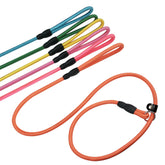 FOVRLZSE 6-pack slip leads in pastel colors for easy multi-pet handling.