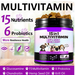 FRDUGA probiotic-rich chew aids gut health and digestion