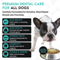 Powder scoop on packaging demonstrates easy daily dental care routine