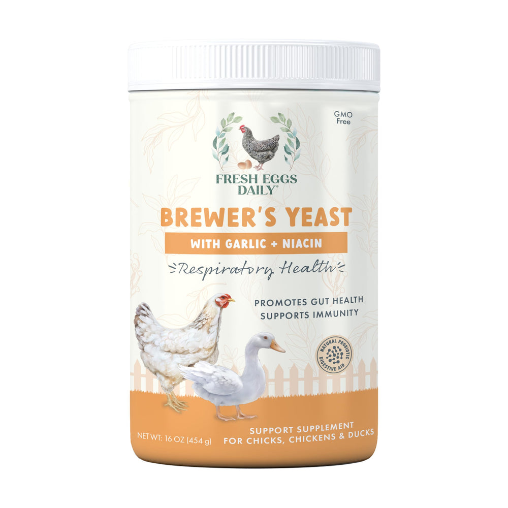 Fresh Eggs Daily Brewers Yeast Powder bottle pour in feed for daily protein boost