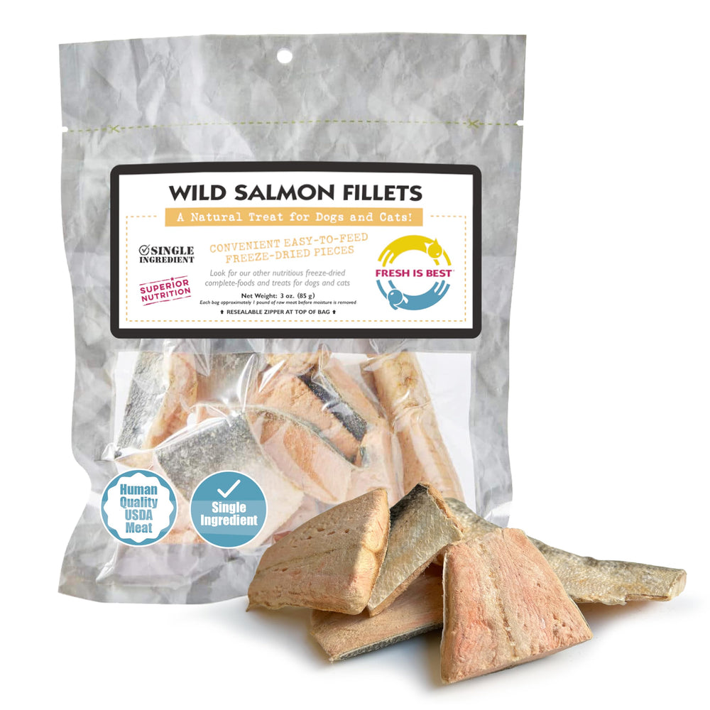 Fresh Is Best salmon fillets freeze-dried dog treats in resealable bag for freshness