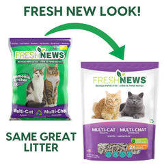 Fresh News multi-cat litter setup shows practical shared-use arrangement.