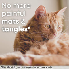 Freshly Bailey curved stainless-steel teeth detangle gently on pets