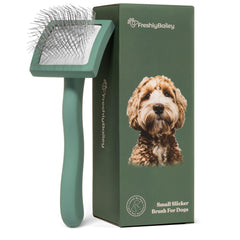 Freshly Bailey Doodle Brush detangles dense coats with ease